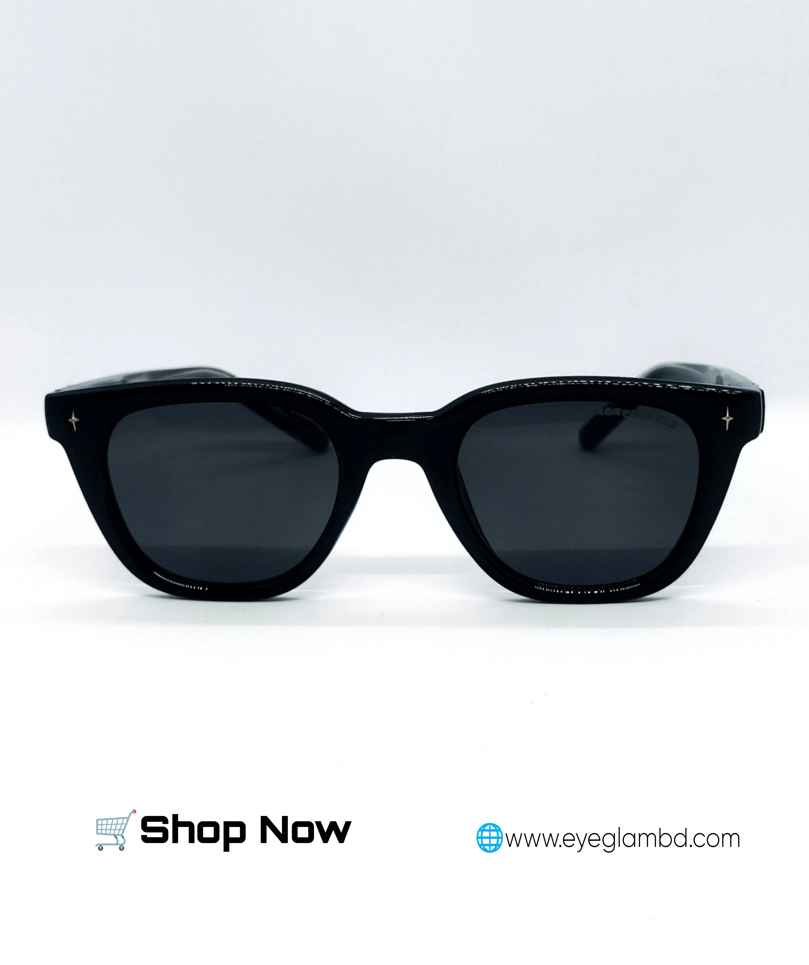 Chrome Hearts sunglasses 9219